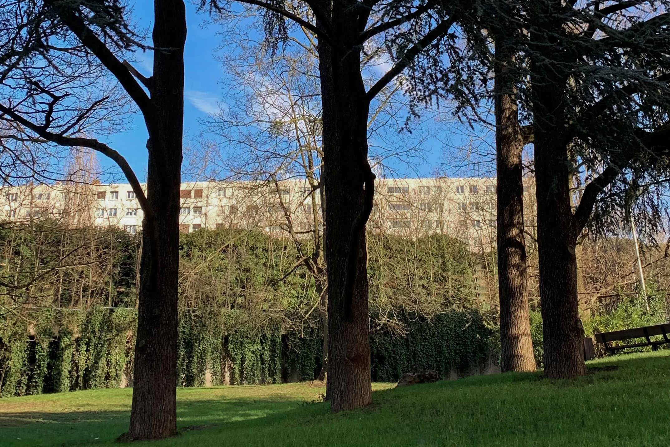 Newsletter n°48 sav-4