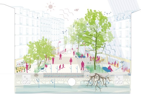 La Rue Commune 230125_rue_coupe