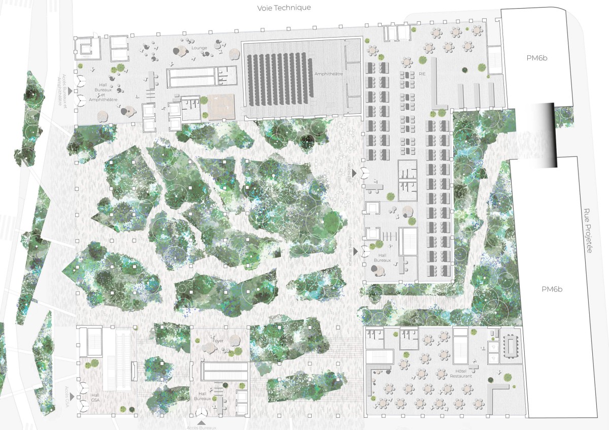 Le Campus des Ardoines vt6_plan5-copie