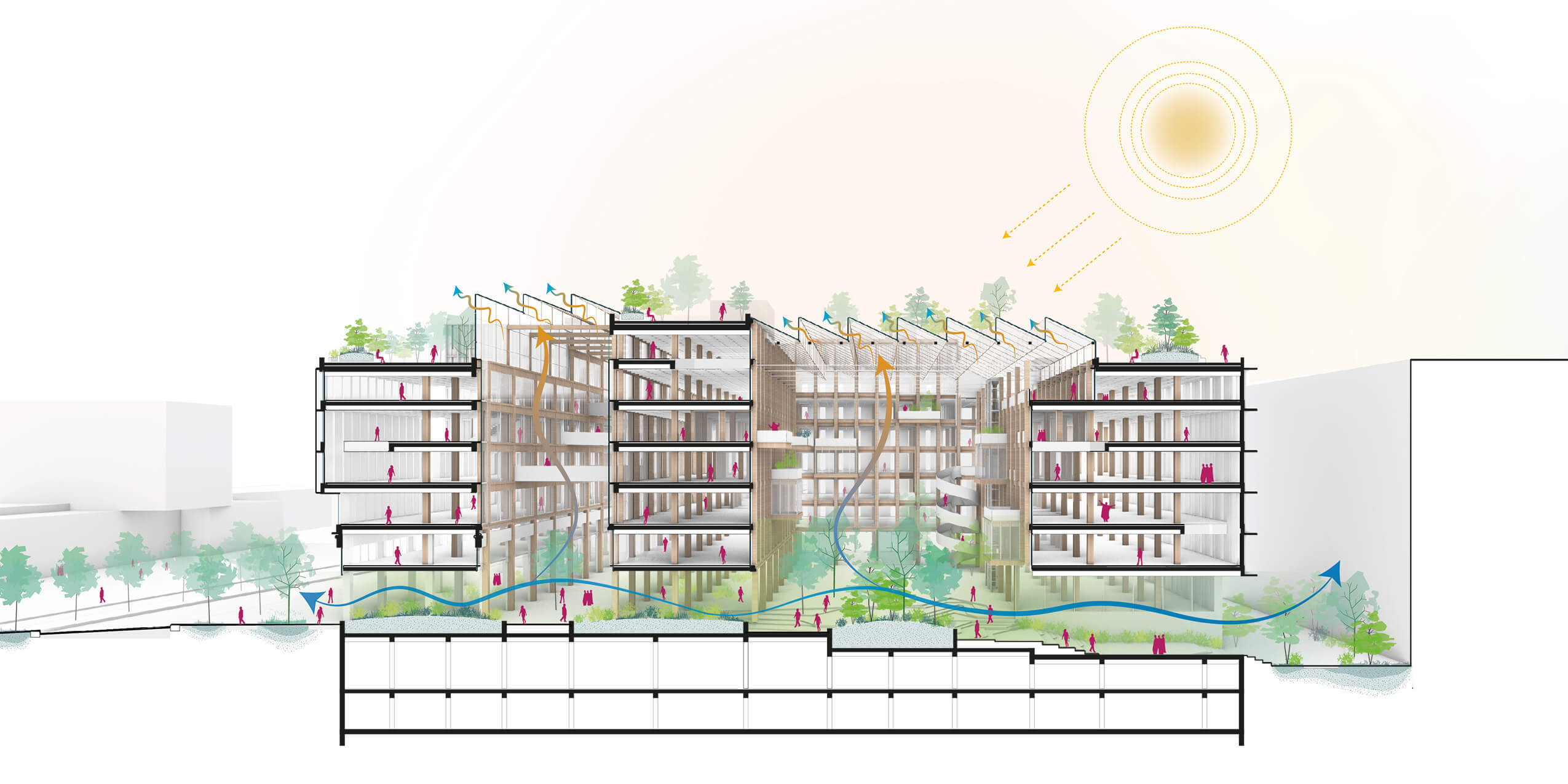 Le Campus des Ardoines coupe_perspective_soleil-rapproche