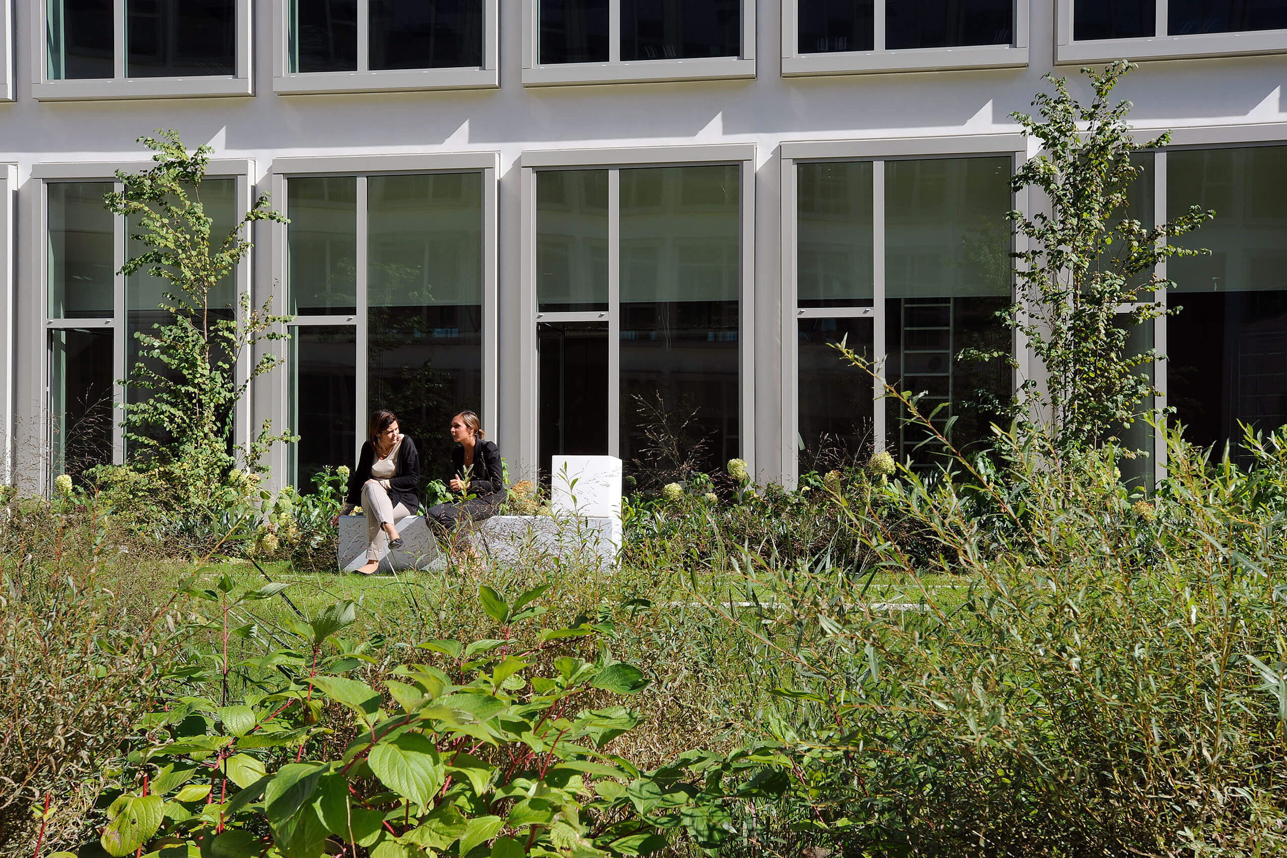 Les bureaux du Canal sde_cour_int_24