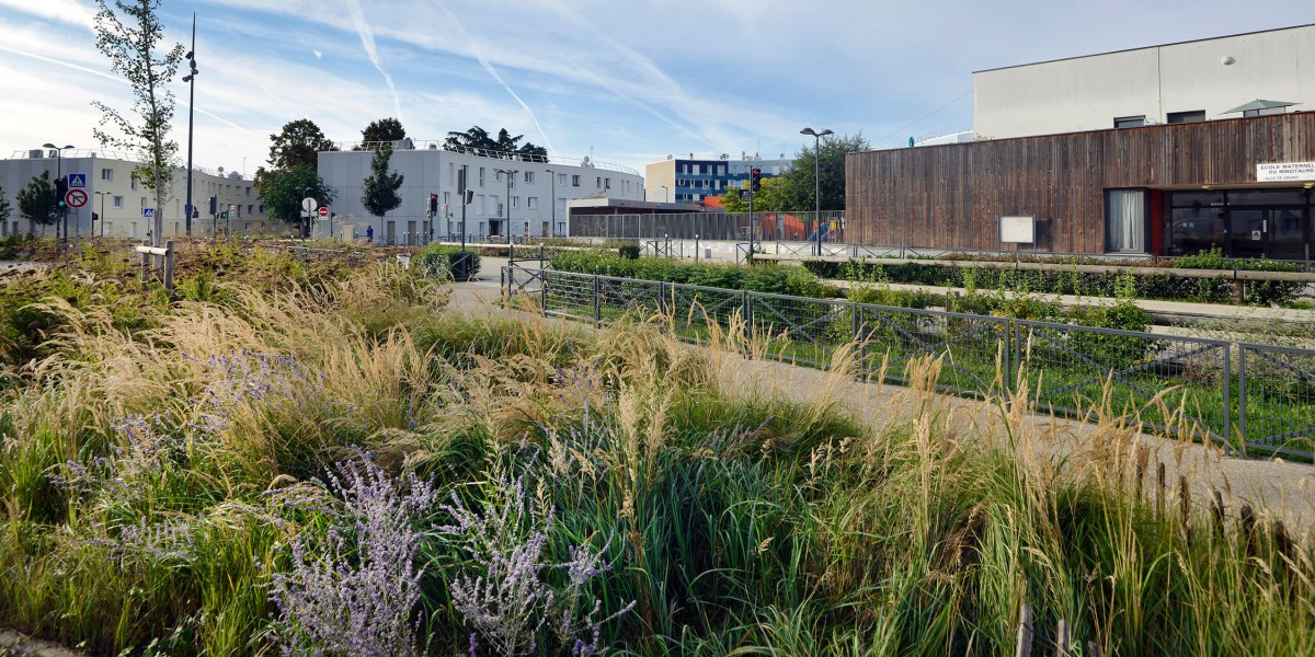La requalification des espaces publics de la Grande Borne photo-15