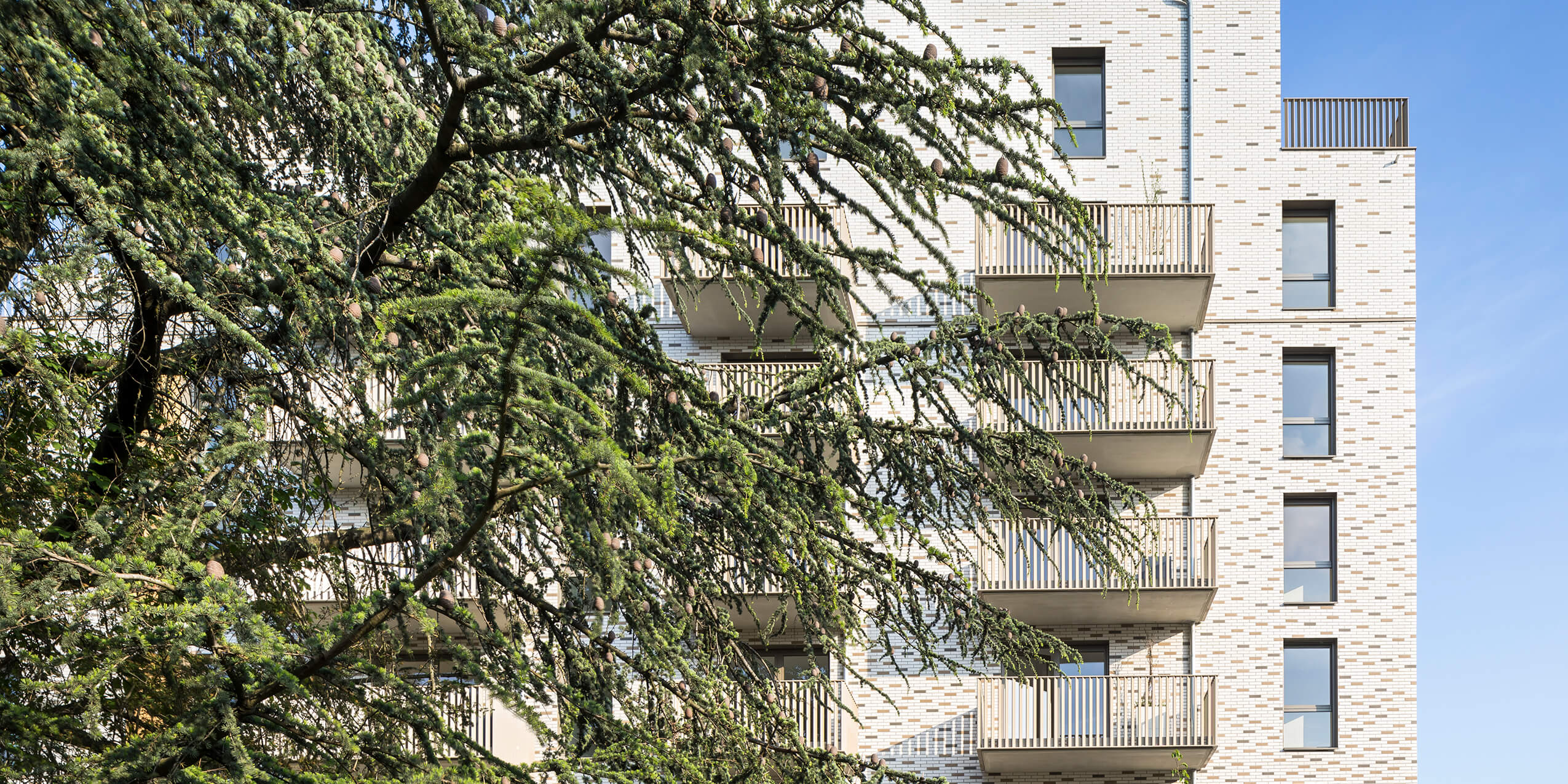 Un bâtiment biosourcé vip_06